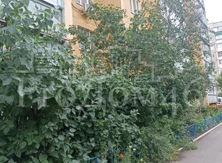 Продаётся 1-комнатная квартира, 45 м²