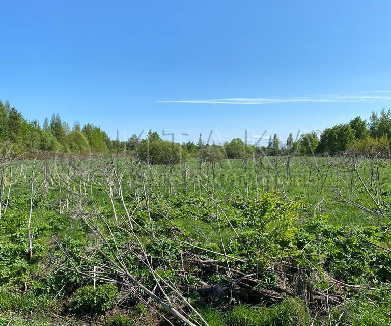 Соржа старая всеволожский. Соржа Старая.