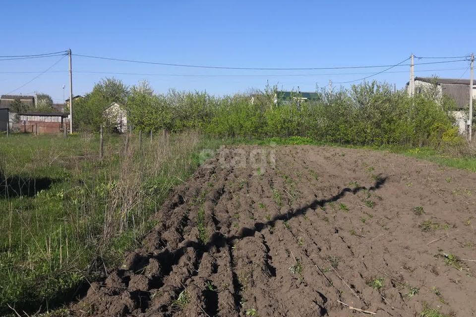 Купить Дачу В Новые Дарковичи Брянской Области