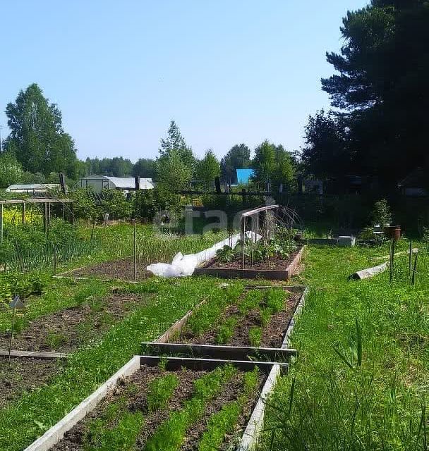 Купить Дачу Нижний Тагил Ст Железнодорожник