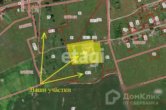 Кадастровая карта палужье брянская область