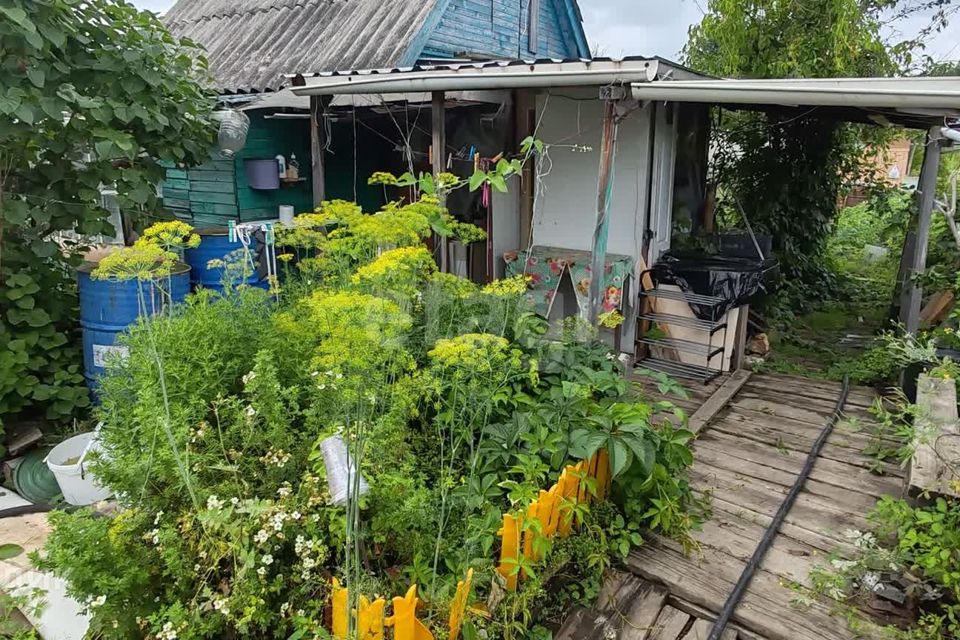 Купить Дачу В Снт Энтузиаст Еао