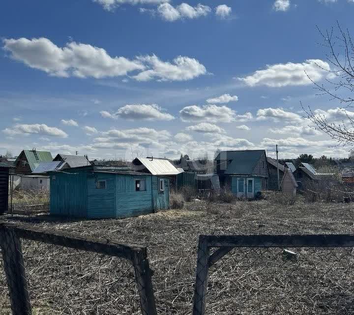 Купить Дачу Обской Залив Искитимский