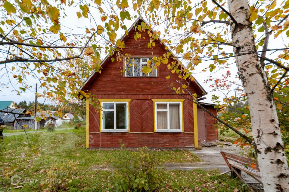 Дачи в прионежском районе. Карельская дача. Глава поселка листвяги новокузнецк фото. Снт рубин. Озерки снт карелия.