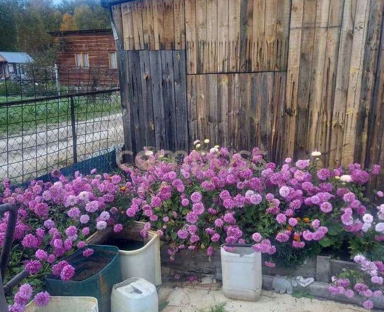 Купить Дачу В Тюмени С Посредником