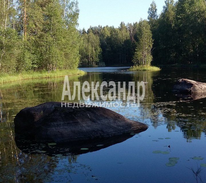 Хвойное приозерский