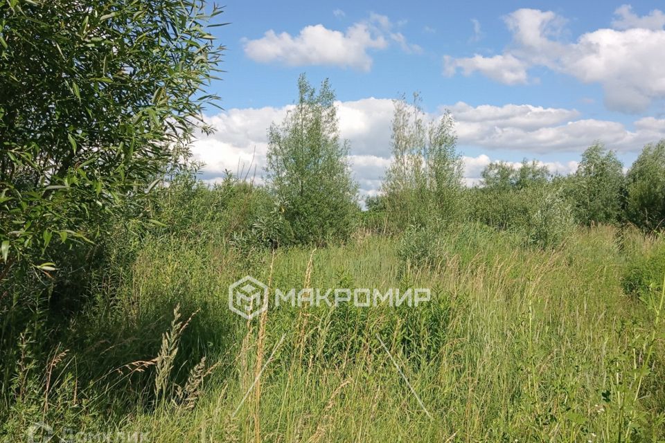 Снт россиянка калининградская. Снт голубево. Голубево. Снт голубево. Снт голубево.