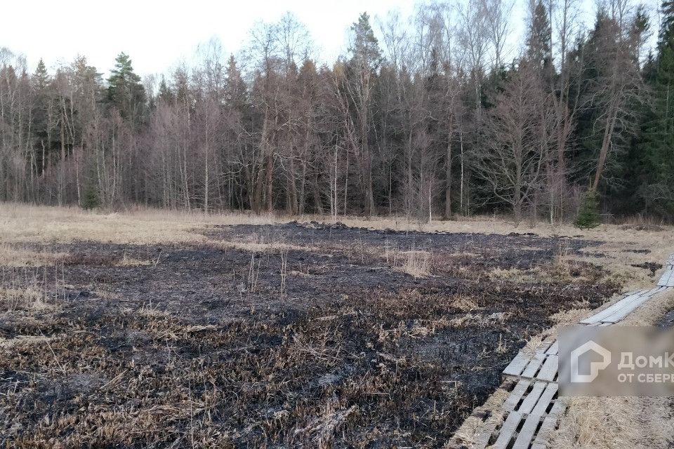 Новая Москва Купить Землю В Деревне