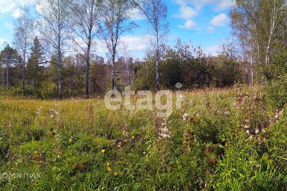 Купить Участок В Сокуре Новосибирской Области