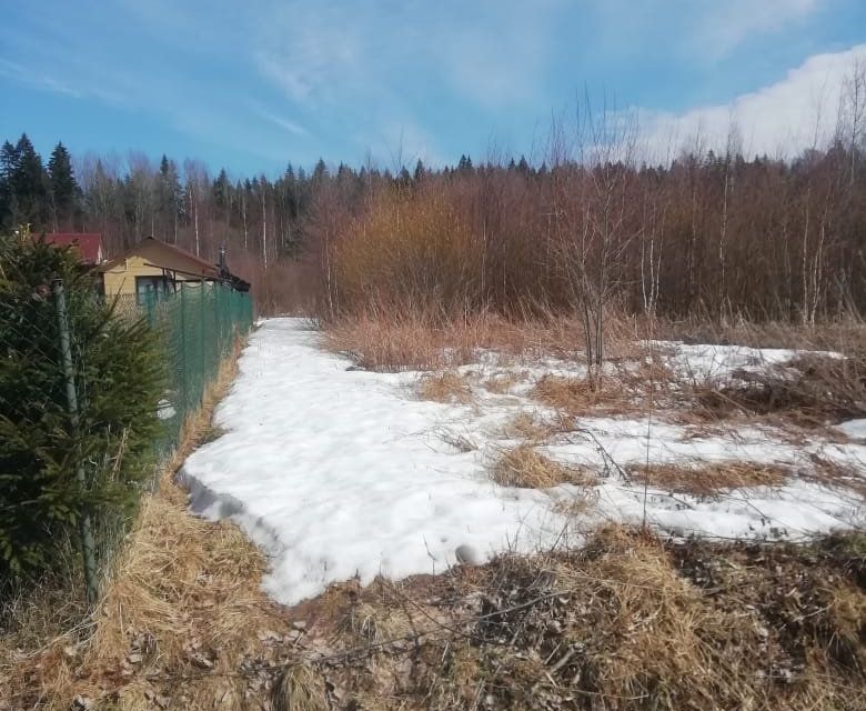 Участок снт долина. СНТ Берёзовая Долина Выборгский район. СНО Березовая далина Выборг. Водоем в СНТ Березовая Долина. Дача в СНТ "Березовая аллея", от Выборга.