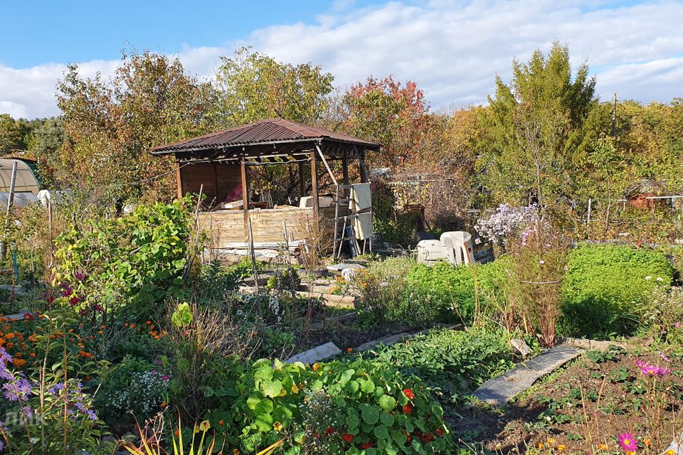 Хабаровский Край Село Мичуринское Купить Дом