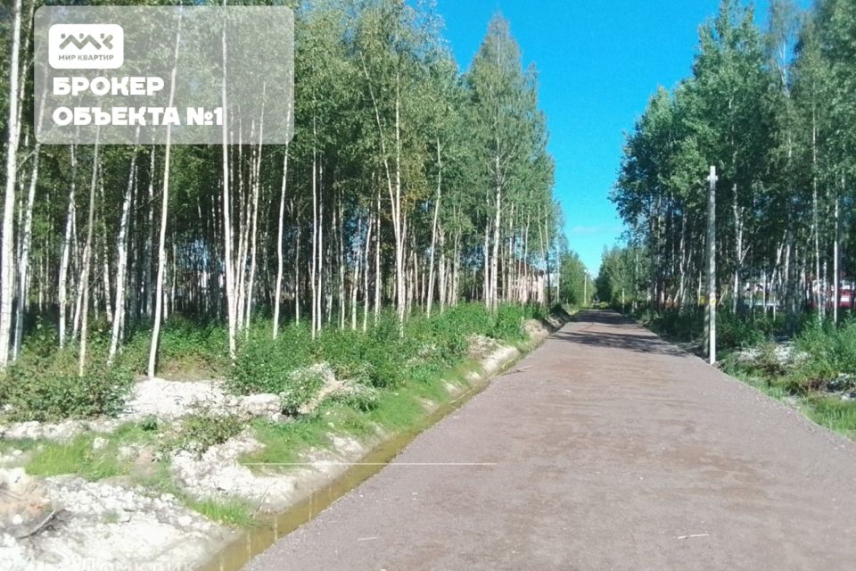 Купить Землю В Пушкине Спб