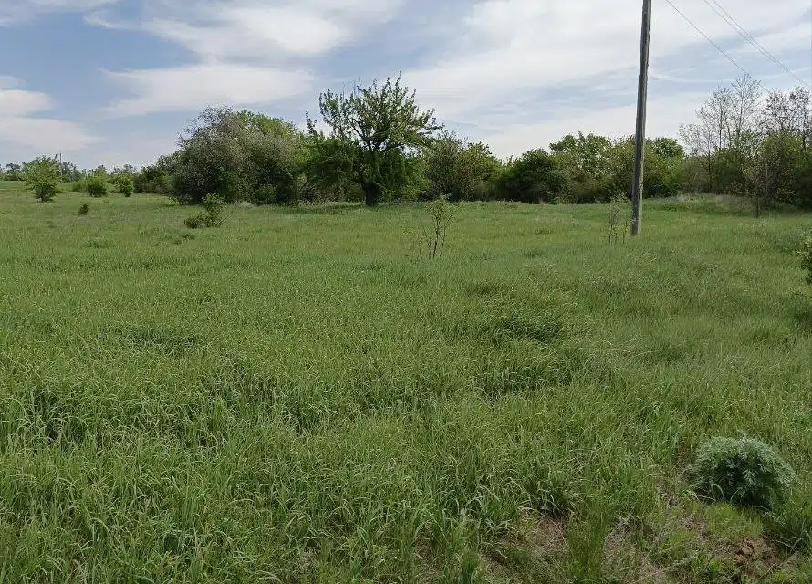 Продаётся участок, 65.16 сот., ИЖС