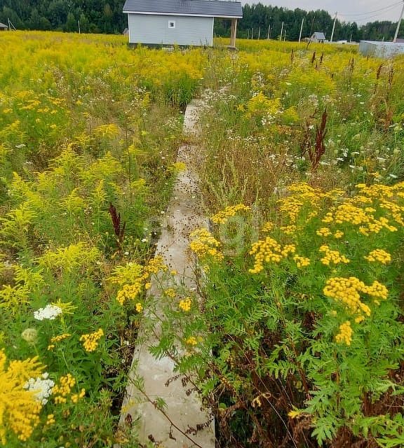 Купить Участок Ижс В Орловском Районе