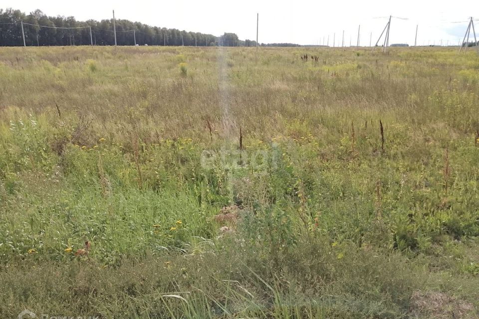 Деревня Крутая Купить Участок