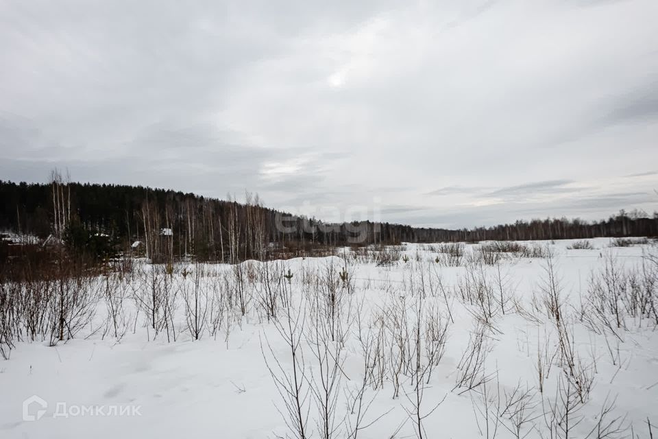Купить Землю В Палкино Екатеринбург Железнодорожный Район