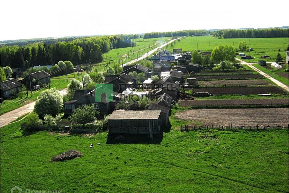 Фото деревня шутовщина переулок зеленый 1