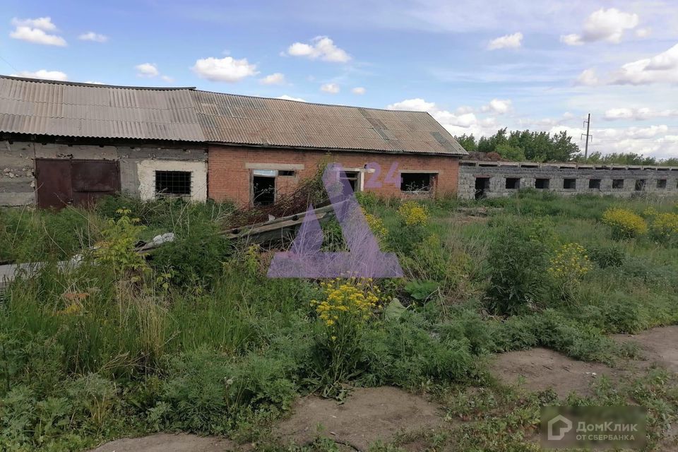 Березовка алтайский край. Алтайский край село Березовка 40 лет Победы 40. Старая столовая село Березовка Первомайский район. Фотографии это Амурская область село Березовка улица Восточная 90.