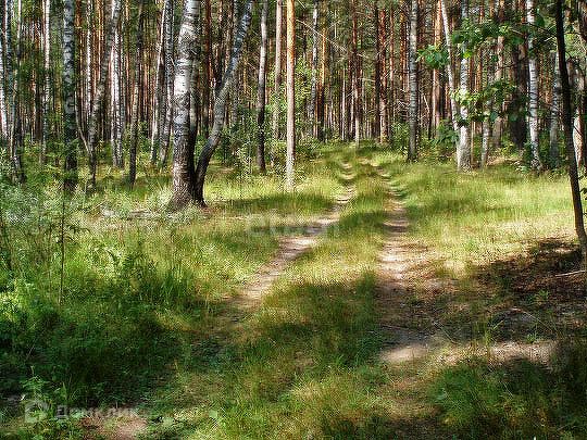 Купить Участок В Лесу Екатеринбург