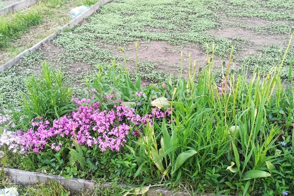 Купить Дачу В Коврове