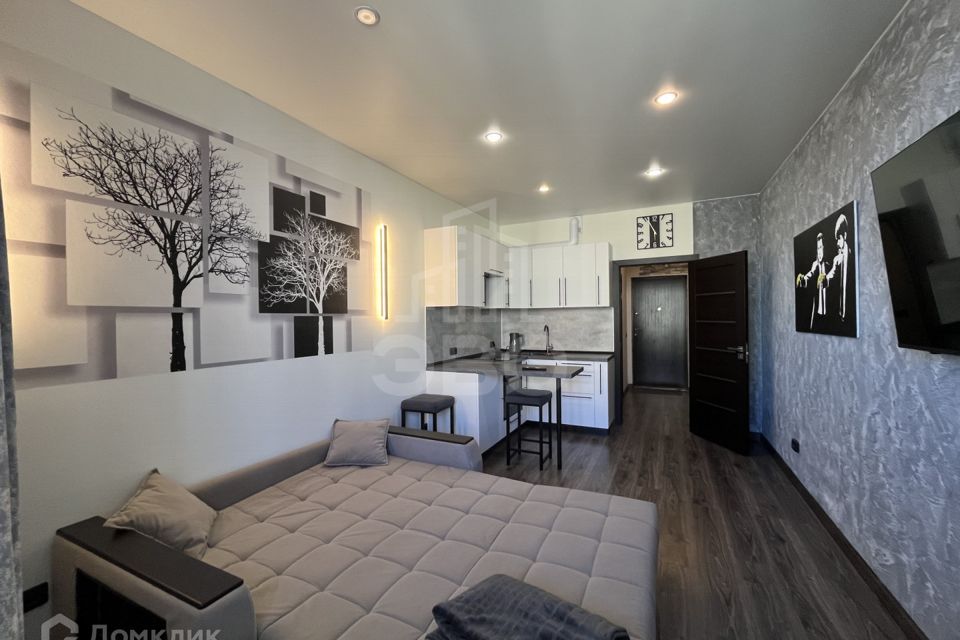 Сдаётся студия, 24.5 м²