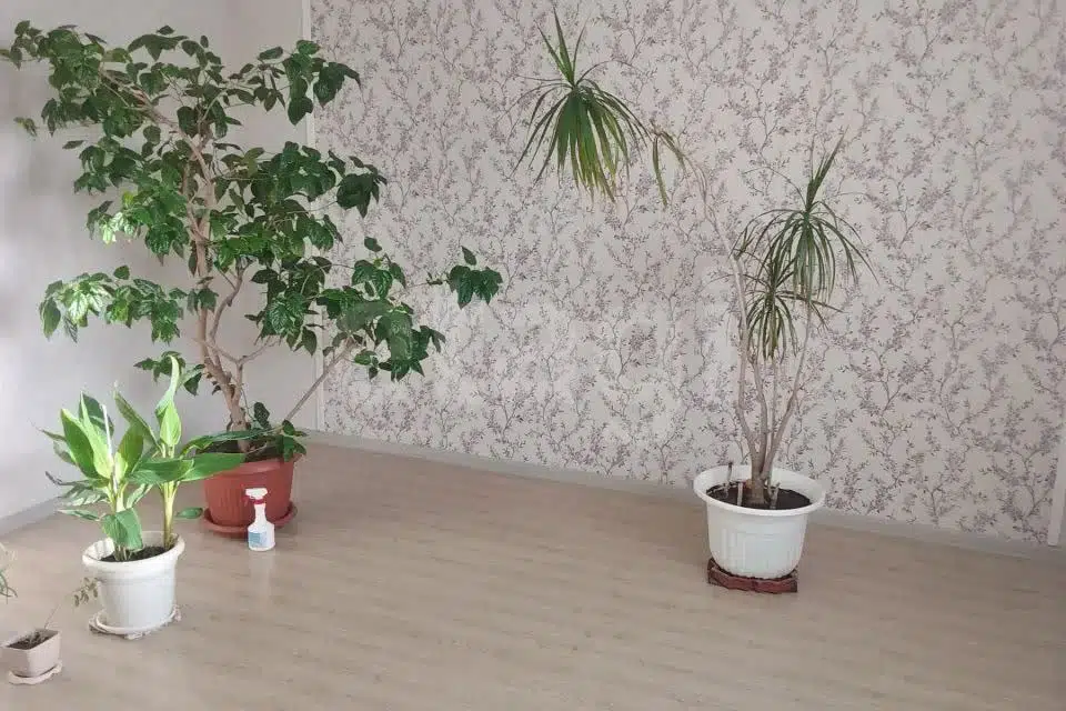 Продаётся 1-этажный дом, 124 м²