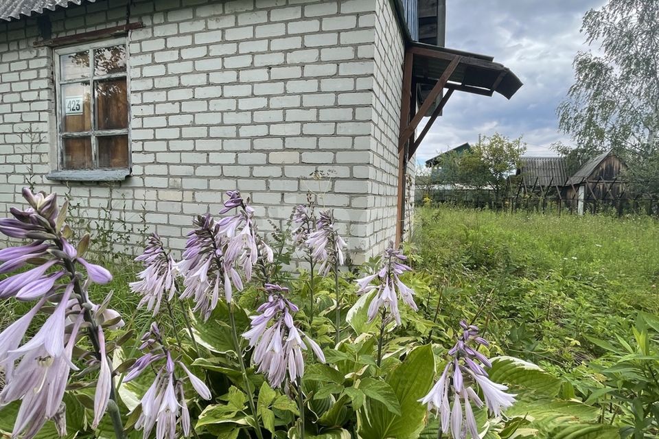 Купить Дачу В Брянске И Брянской Области