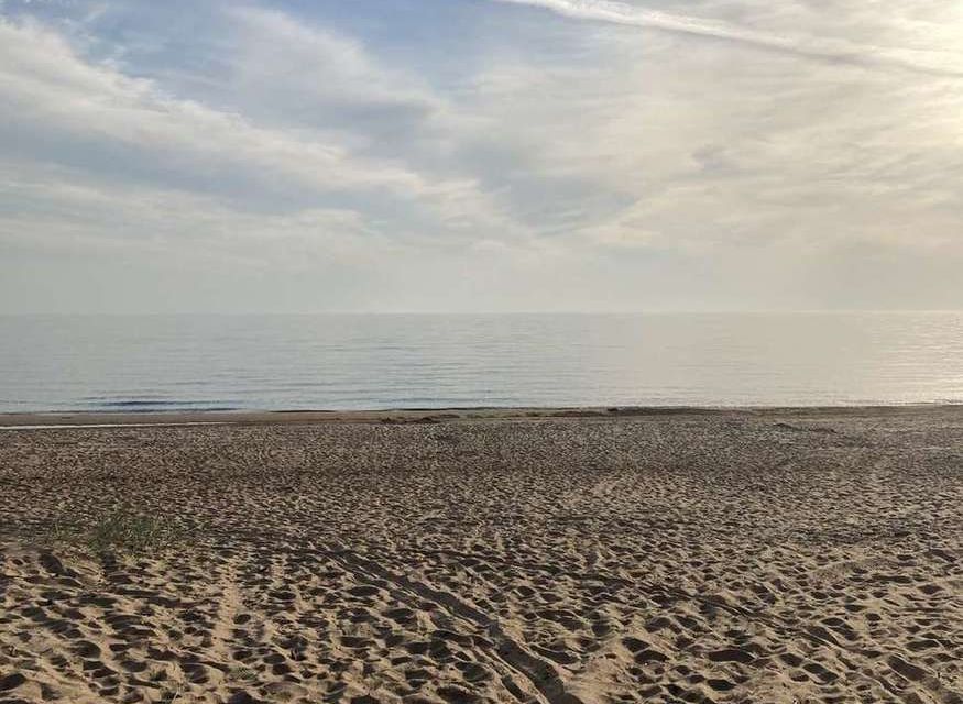 Купить Землю В Поселке