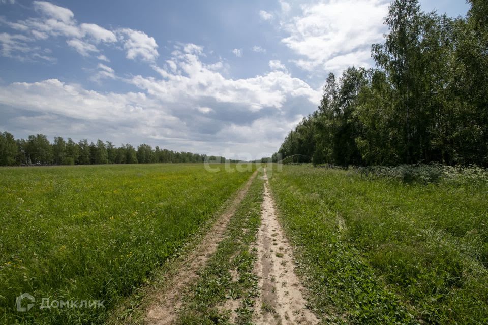 Купить Земельный Участок В Щербинке Недорого