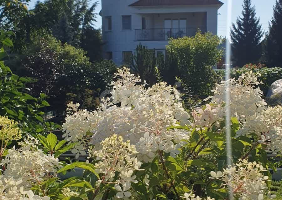 Купить Дом Дачу Коттедж В Междуреченске