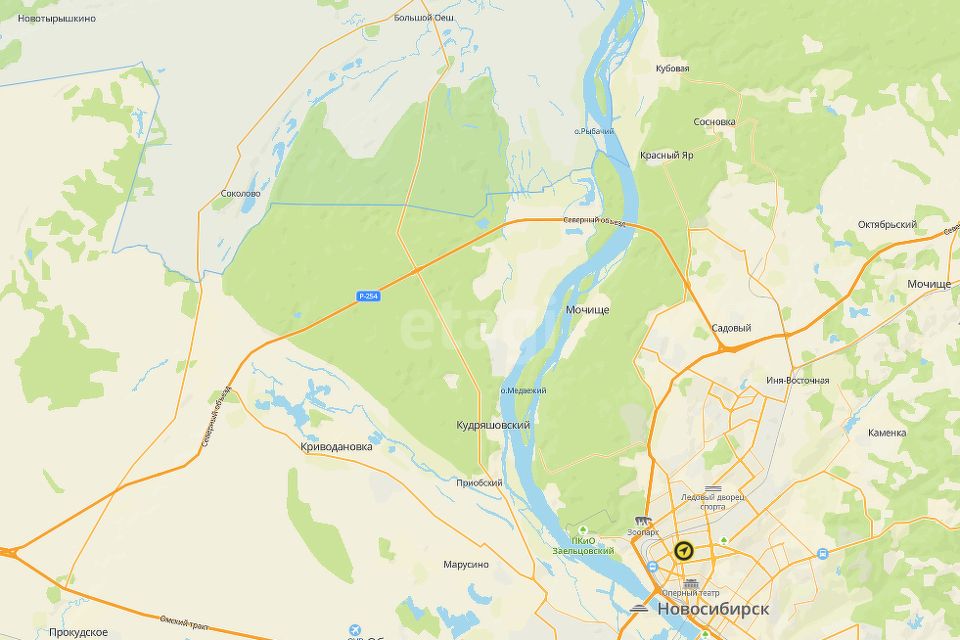 Снт кедр колыванский. Снт кедр колыванский