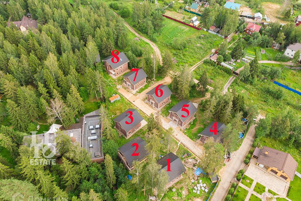 Под кронами московская область. Под кронами московская область