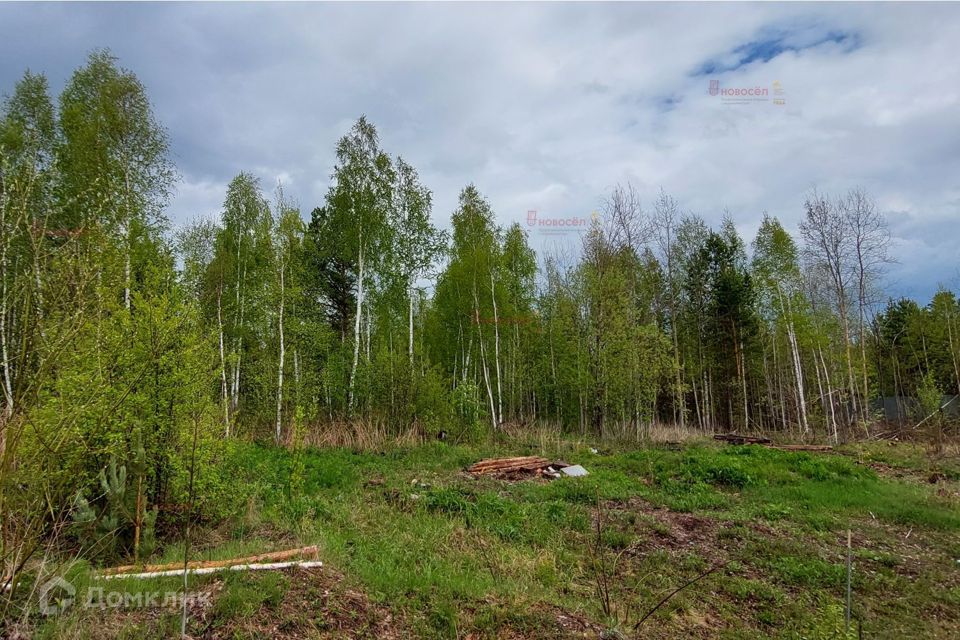 Сад палкинском торфянике Сад палкинском торфянике