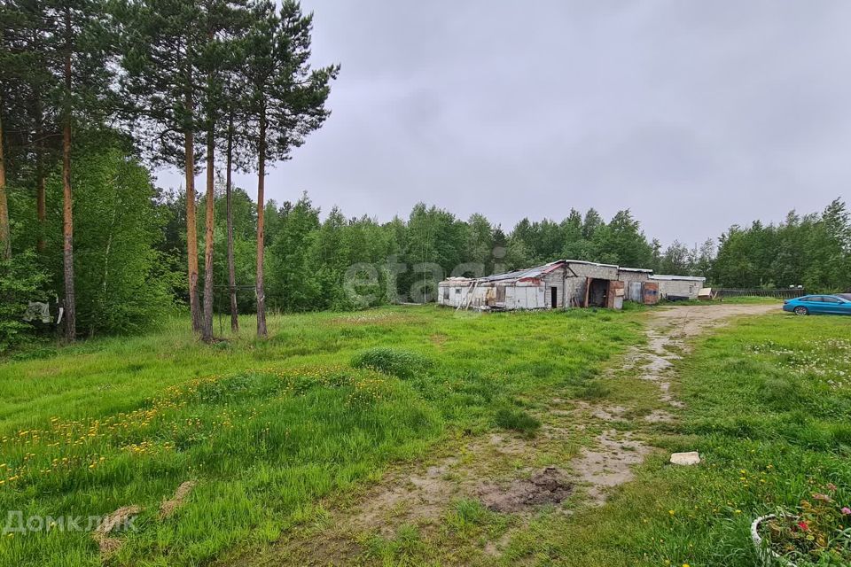 Участки под ижс в сургуте. Участки под ижс в сургуте