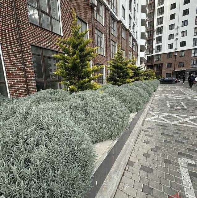 Продаётся студия, 29.44 м²