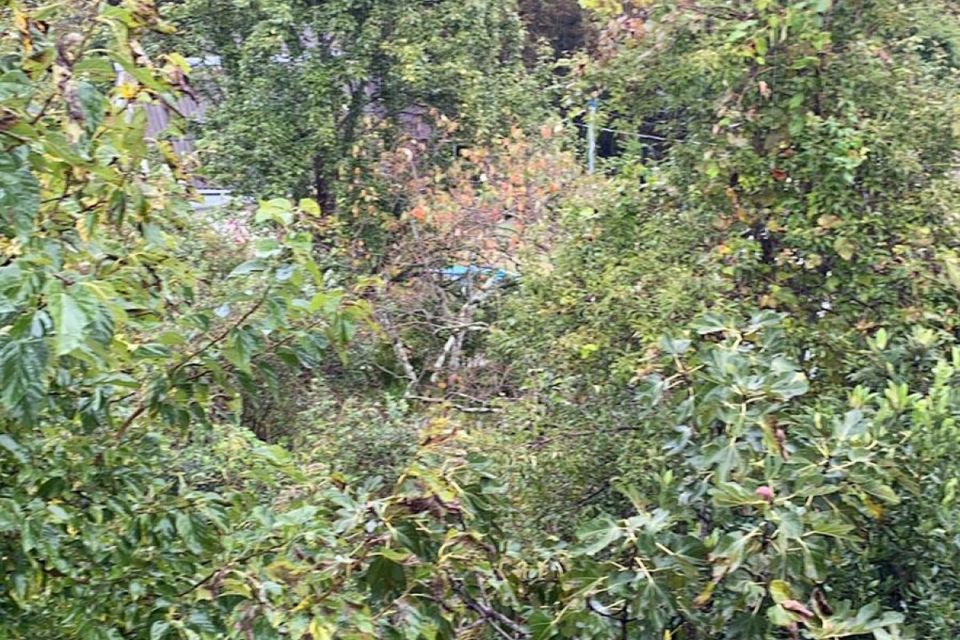 Купить Участок В Сочи Пластунка