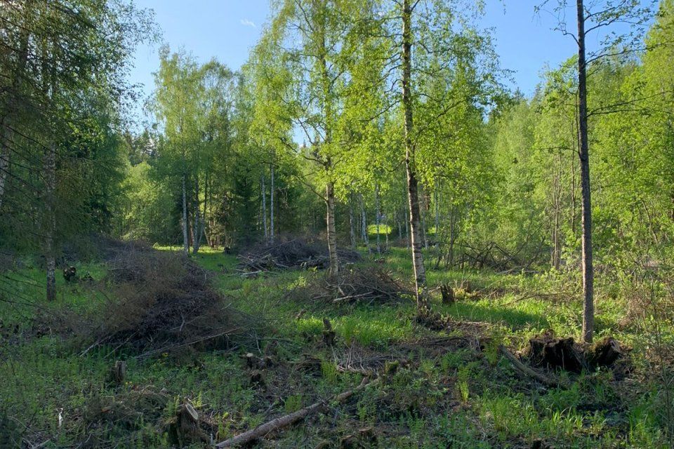 Участок Купить Ленинградская Область Приозерское Направление