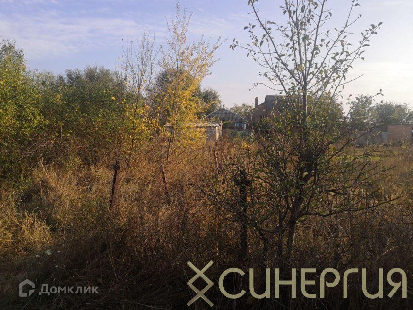 Тсн дон. Колузаево Ростовская область вид сверху