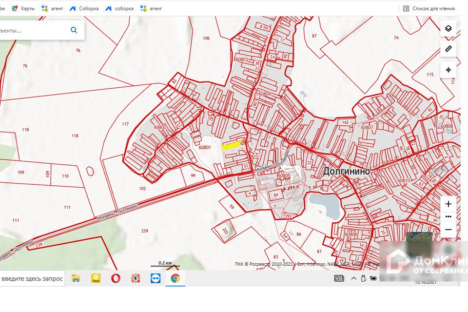 Кадастровая карта рязанской области долгинино