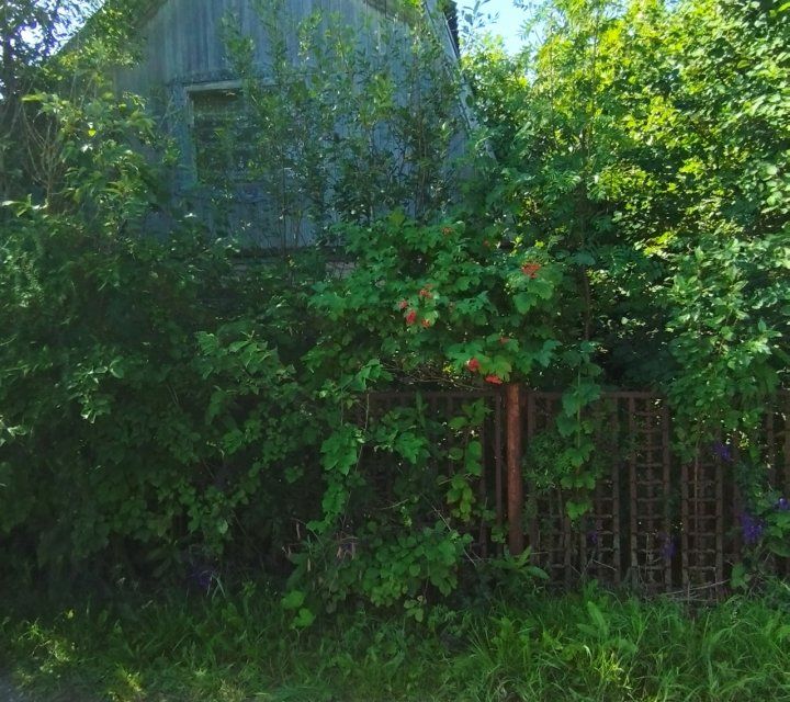 Купить Сад В Нововятском Районе