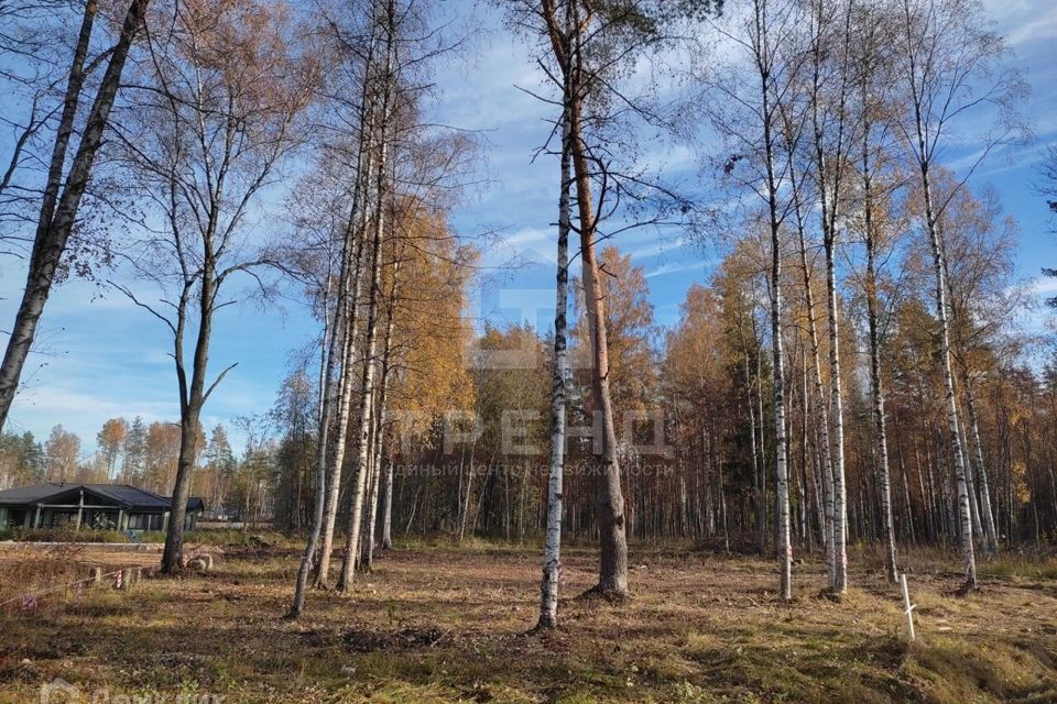 Коттеджные Поселки Всеволожский Район Купить Земельный Участок