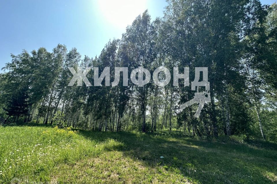 Купить Дом В Жеребцово Новосибирской Области