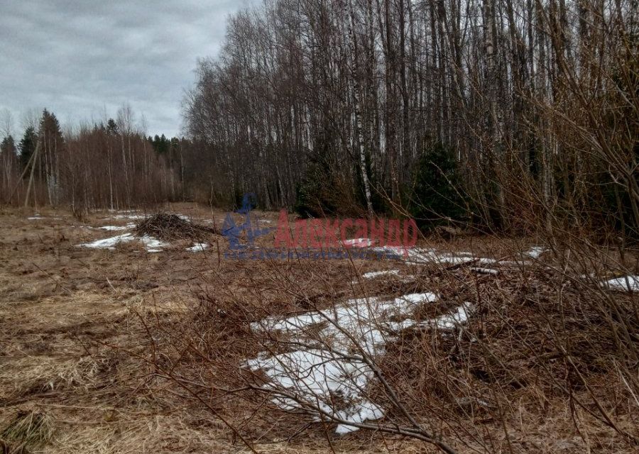 Купить Участок Выборгская