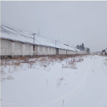 Купить Помещение В Куйбышеве Новосибирской Области