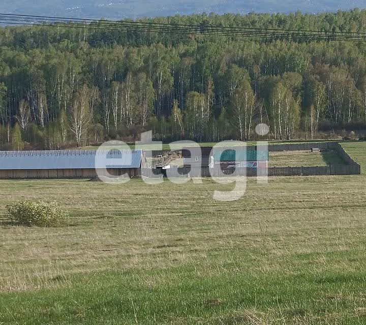 Купить Участок В Дрокино Красноярске Недорого