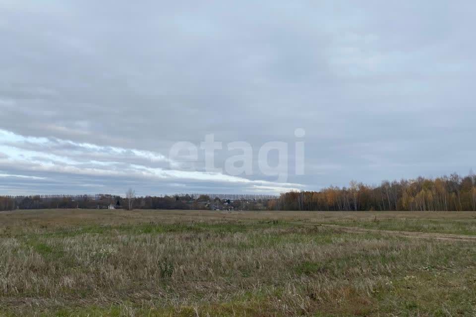 Домодедово деревня судаково