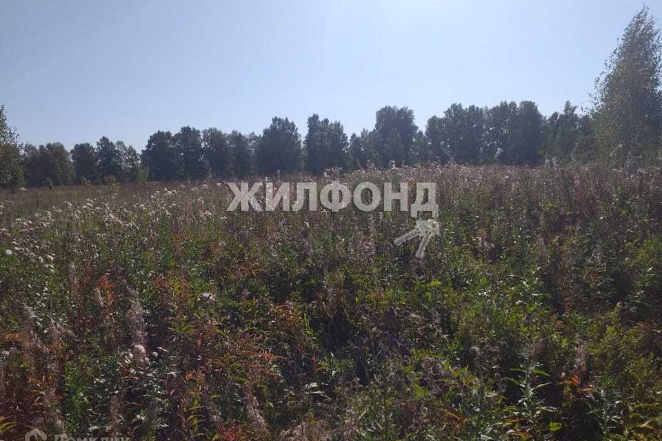 Купить Земельный Участок В Верх Туле Новосибирской