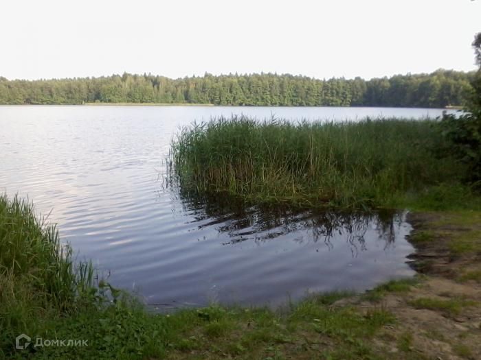 Селезнево рязанская область. Селезневское озеро спас Клепики.