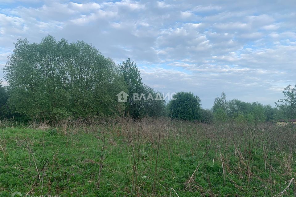 Деревня конино. Деревня некрасиха владимирская область. Деревня конино. Деревня конино. Деревня конино.