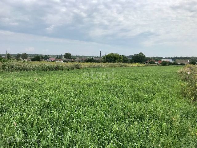 Слава тамбовский муниципальный округ красносвободненский сельсовет фото Купить Земельный Участок у Леса на Р-193, 207-м километре (село Красносвободное)